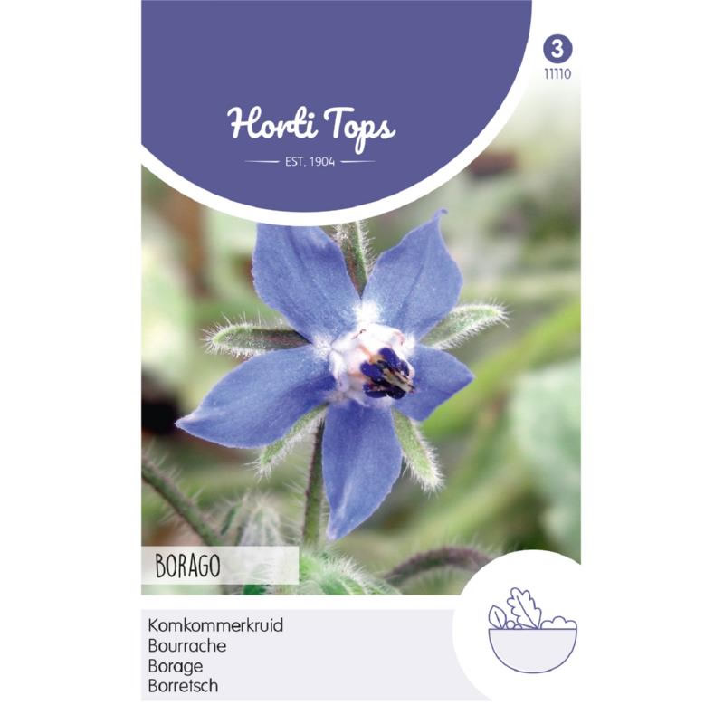 HT Borage Seeds 2g - Image 2