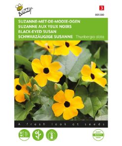buzzy black-eyed susan