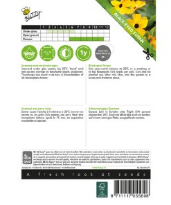 buzzy black-eyed susan