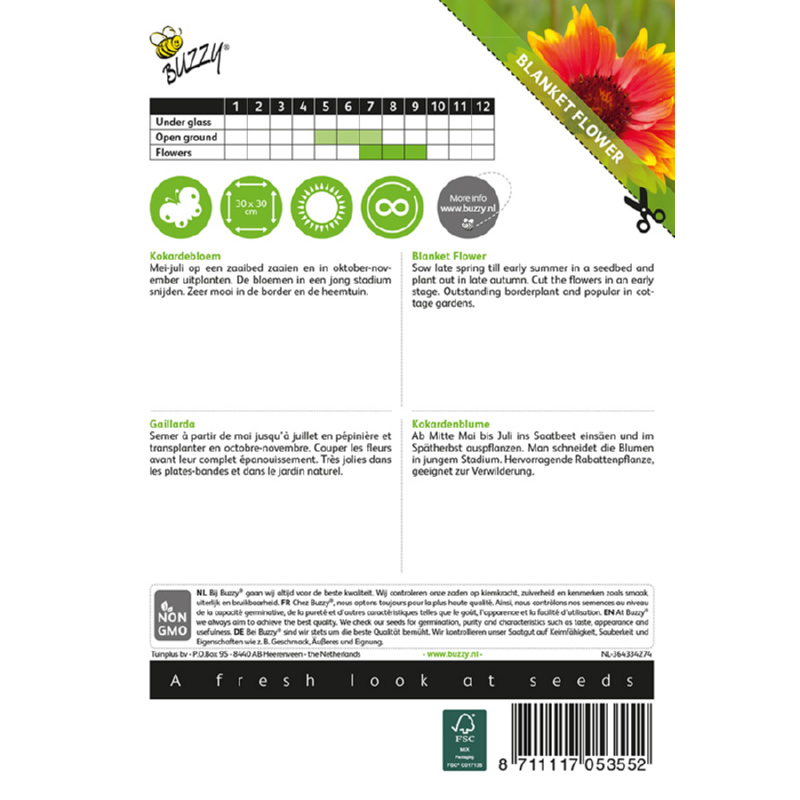 Buzzy Blanket Flower Gaillardia aristata Seeds 0.75g - Image 2
