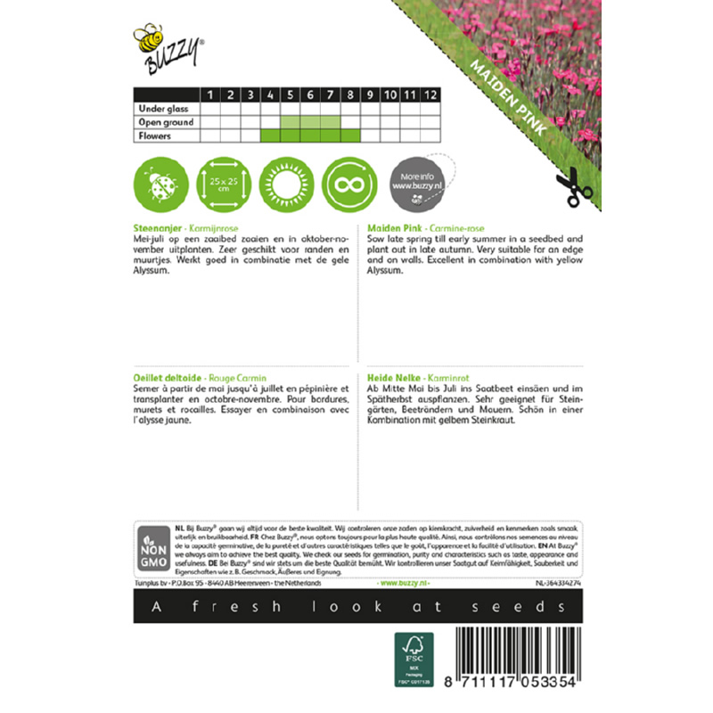 Buzzy Stone Carnation 'Carmine Rose' Seeds 0.25g - Image 2