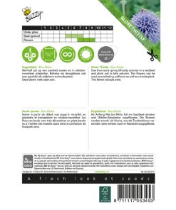 Alternative view of Buzzy Globe Thistle 'Blue Globe' Seeds 0.5g