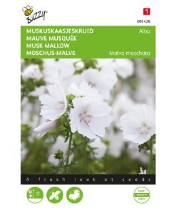 buzzy musk mallow alba