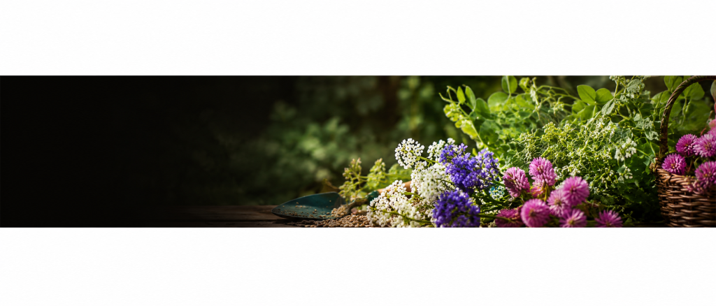 cover crops