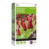 green manure crimson clover