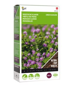 green manure persian clover