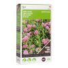 green manure red clover