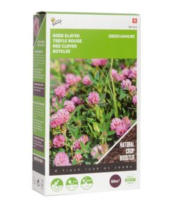 green manure red clover