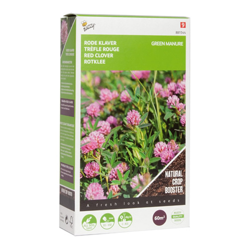 green manure red clover