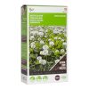 green manure white clover