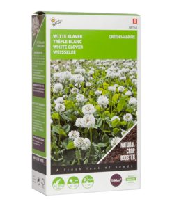 green manure white clover