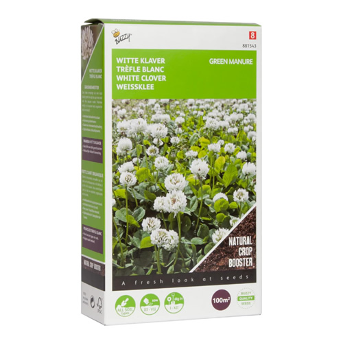 green manure white clover