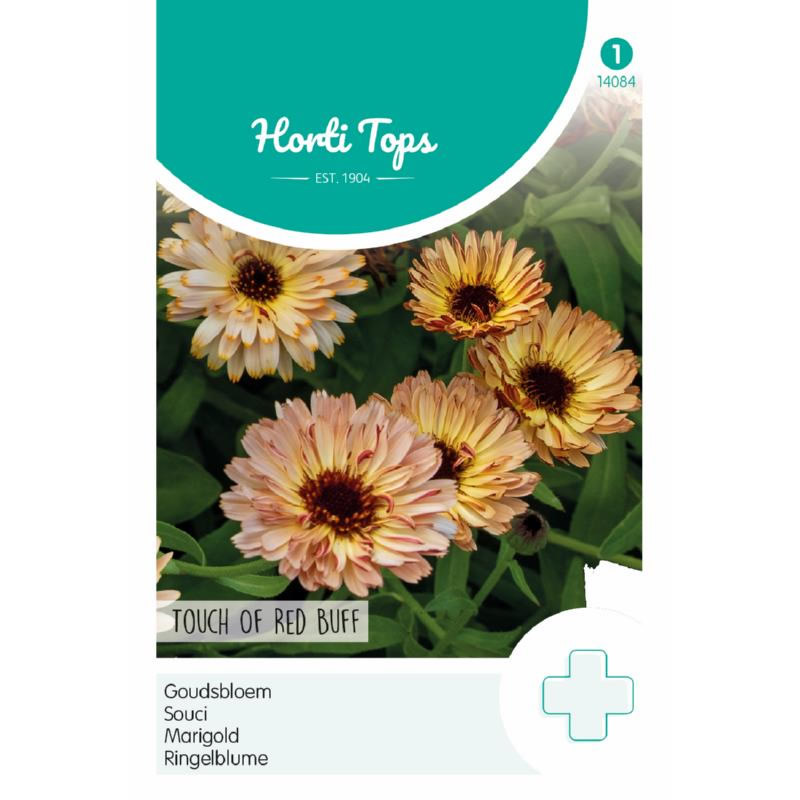 HT Calendula 'Touch of Red Buff' Seeds 0.75g - Image 2