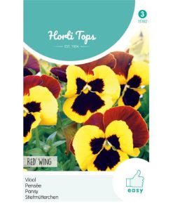 pansy red wing
