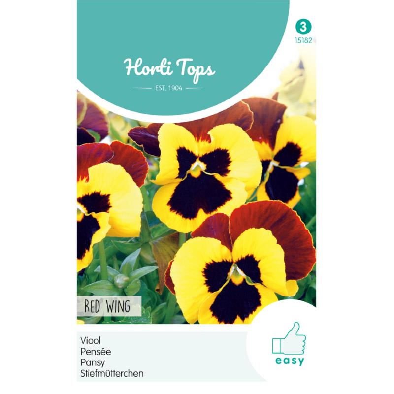 pansy red wing