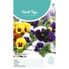 ht pansy swiss giant mixed