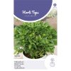 pot basil seeds