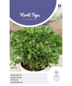 Alternative view of HT Pot Basil Bascuro Greek Dark Green Seeds 1.5g