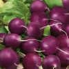 radish viola