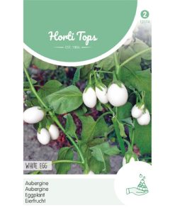 White Egg aubergine seeds