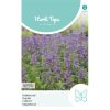 HT Catmint Nepeta seeds 0.25g