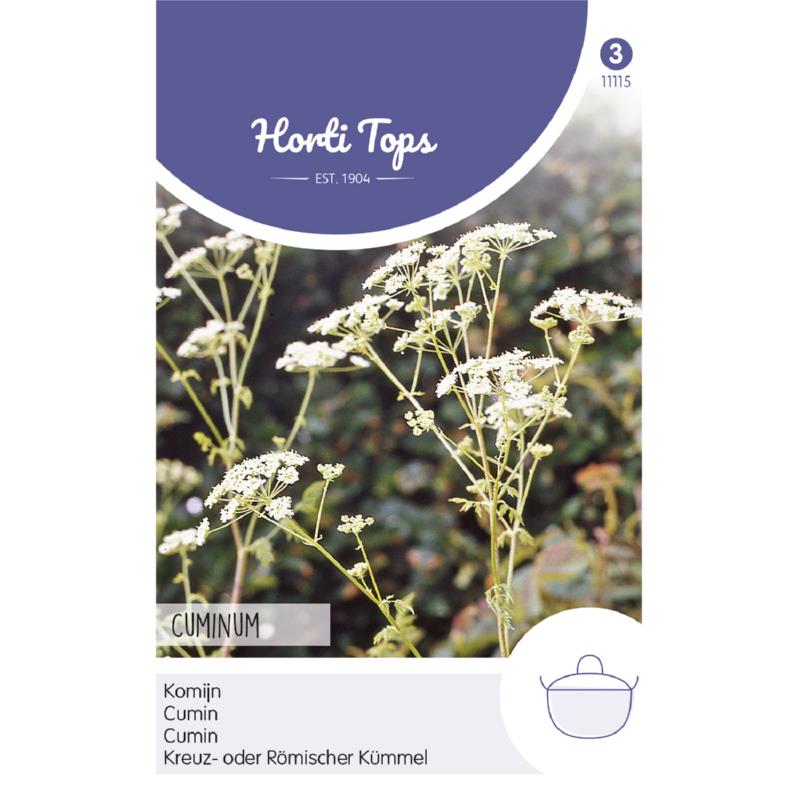 HT Cumin seeds