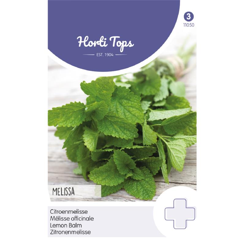 Lemon Balm Seeds