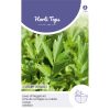 Maggi Plant Seeds Lovage seeds