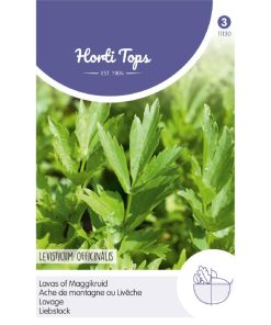 Maggi Plant Seeds Lovage seeds