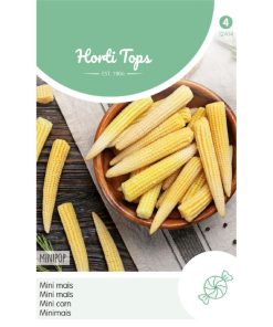 Baby Corn Seeds