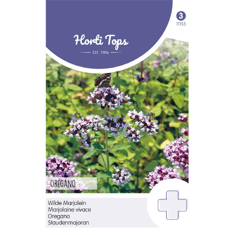 HT Oregano seeds