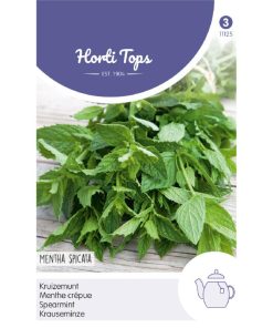 HT Spearmint seeds
