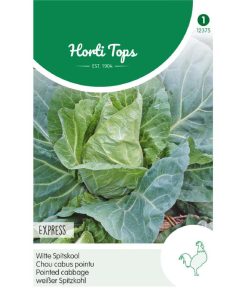 White Pointed Cabbage Express seeds