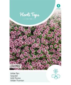 Creeping Thyme Seeds