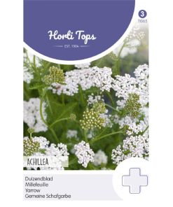 HT Achillea Yarrow seeds White 0.5