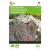 buzzy rock garden flowers mix