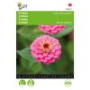 zinnia lilliput rose gem