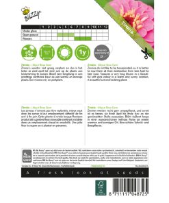 zinnia lilliput rose gem