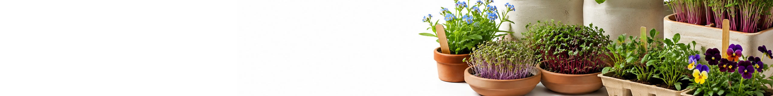 grow kits