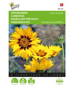 Coreopsis Early Sunrise