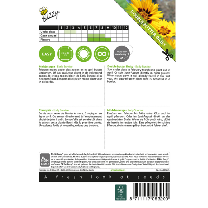 Coreopsis Early Sunrise