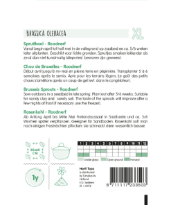 Alternative view of HT Brussels Sprouts Roodnerf Seeds 2g – Traditional Open-Pollinated Variety