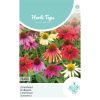 coneflower paradiso