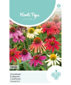 coneflower paradiso