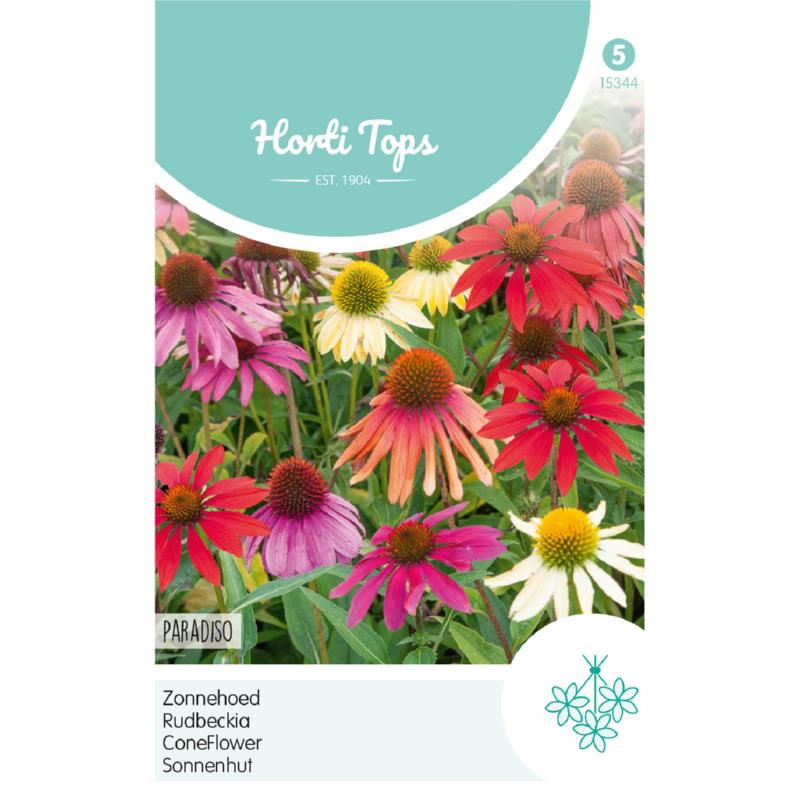 coneflower paradiso