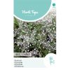 Gypsophila seeds