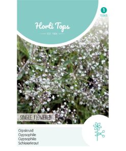 Gypsophila seeds