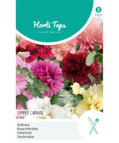 hollyhock summer carnival