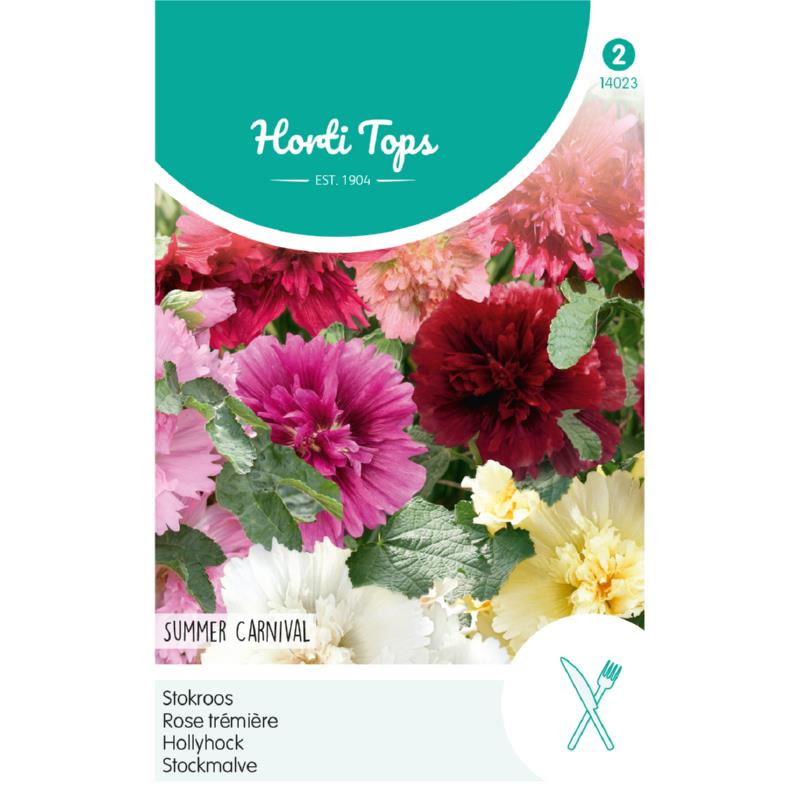hollyhock summer carnival