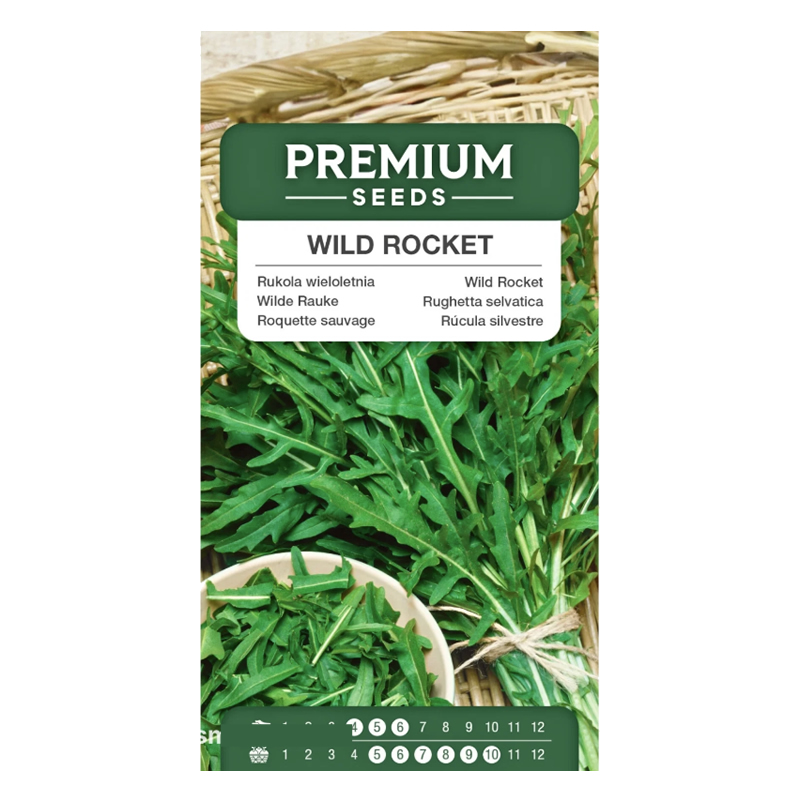 wild rocket rukola